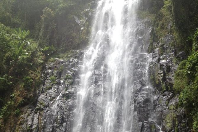 Materuni Waterfalls & Coffee Tour From Moshi - Good To Know