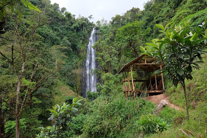 Materuni Waterfalls,Coffee Tour & Kikuletwa(Chemka)Hot Springs - Good To Know