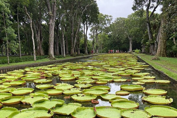 Mauritius Full Day : Private North Tour - Good To Know