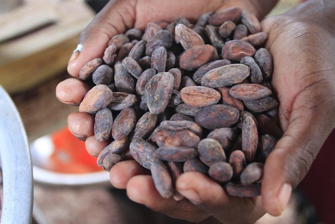 Mayan Chocolate Making & Waterfall Swimming From Placencia - Good To Know