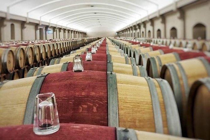Medoc Region Private Sightseeing & Wine Day Trip With Tasting From Bordeaux - Good To Know