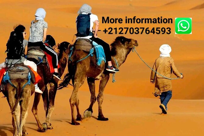 Merzouga Camel Riding & Overnight Stay in Luxury Camp - Good To Know