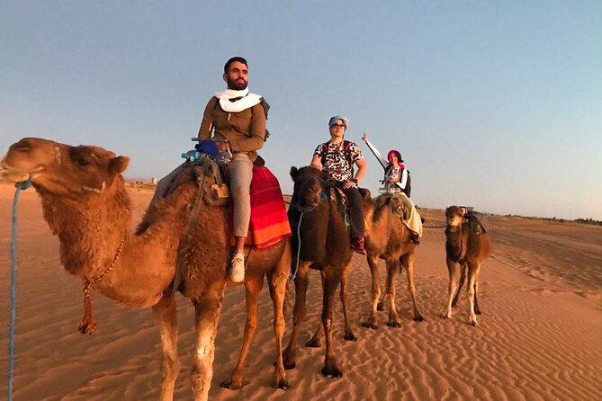 Merzouga Orange Dunes ATV Sandsurf Camels With 5 Stars Dinner - Good To Know