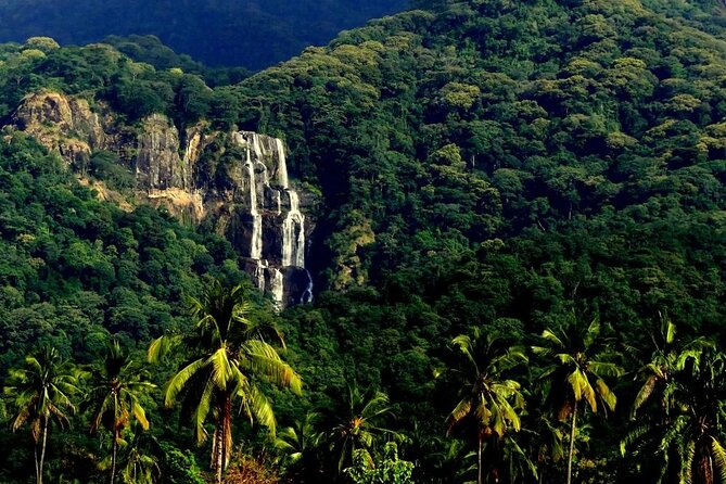 Mikumi National Park & Udzungwa Water Falls 3 Days Group Tour - Good To Know