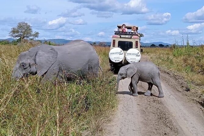Mikumi Safari Tour: Day Trip Return Flight From Zanzibar - Good To Know