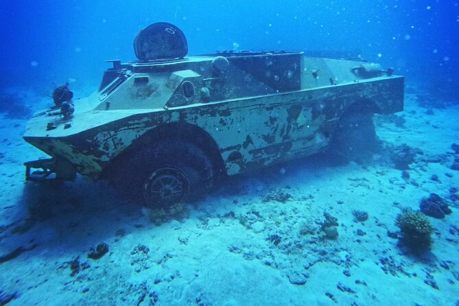 Military Museum Diving Experience in the Red Sea - Good To Know