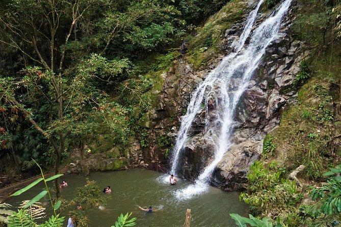 Minca, Waterfalls and Coffee Farm Tour From Santa Marta - Tour Overview