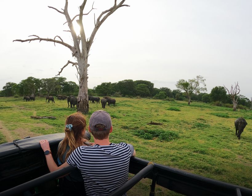 Minneriya National Park Half Day Sri Lanka Jeep Safari - Good To Know