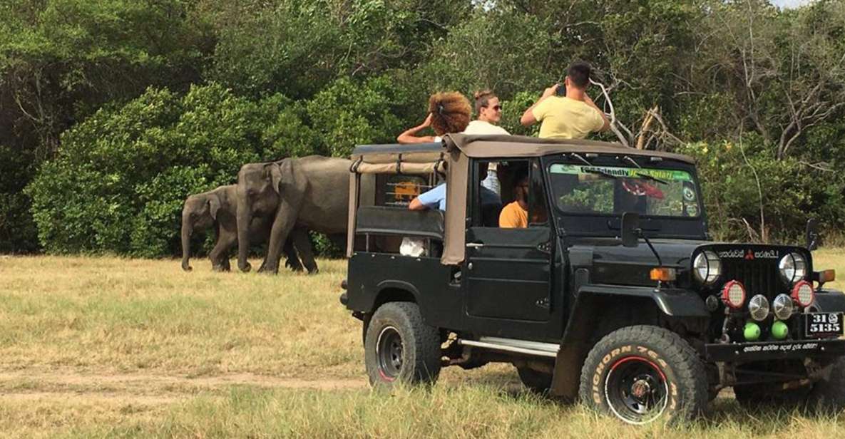 Minneriya National Park: Halfday Jeep Safari With Wild Tours - Good To Know