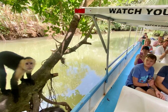 Monkey Mangrove Tour - About Your Stay