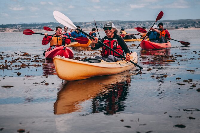 Monterey Bay Full-Day Kayak Rental: Otters, Seals and Sea Lions - Good To Know