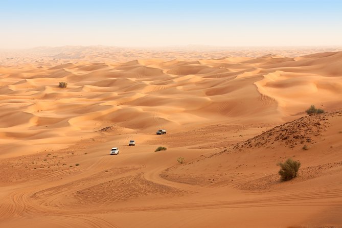 Morning Desert Safari In Abu Dhabi - Good To Know