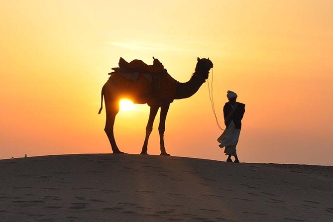 Morning Dune Bashing, Including Camel Riding and Sand Boarding From Dubai - Good To Know