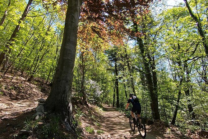 Mountain Bike Tour in Spina Verde Natural Park - Good To Know