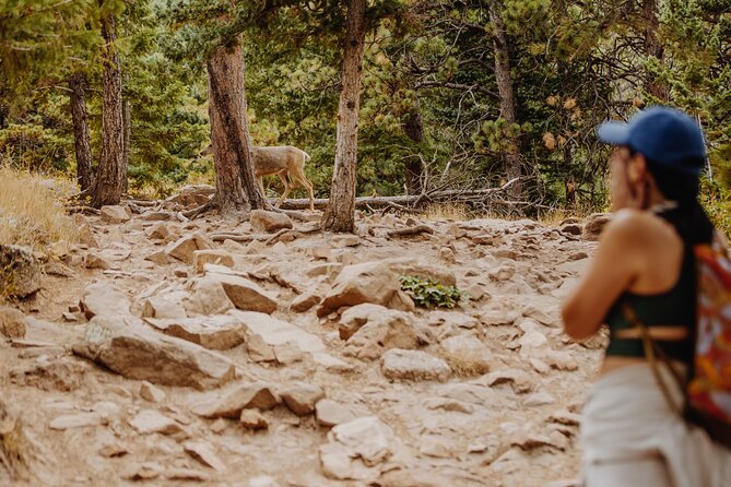 Mountain Escape Day Hike - Private Tour in the Colorado Rockies - Good To Know