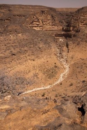Mountain Safari 4 Hours East Salalah Tour - Wadi Darbat, Sumharam - Good To Know