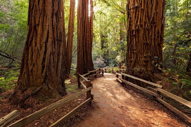 Muir Giant Redwood Trees 3 Hour Private Tour W Golden Gate Bridge - Good To Know