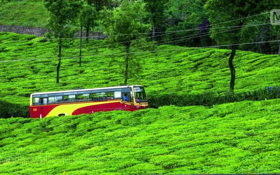 Munnar Day Return Excursion Ex Kochi Covering All Essentials - Good To Know