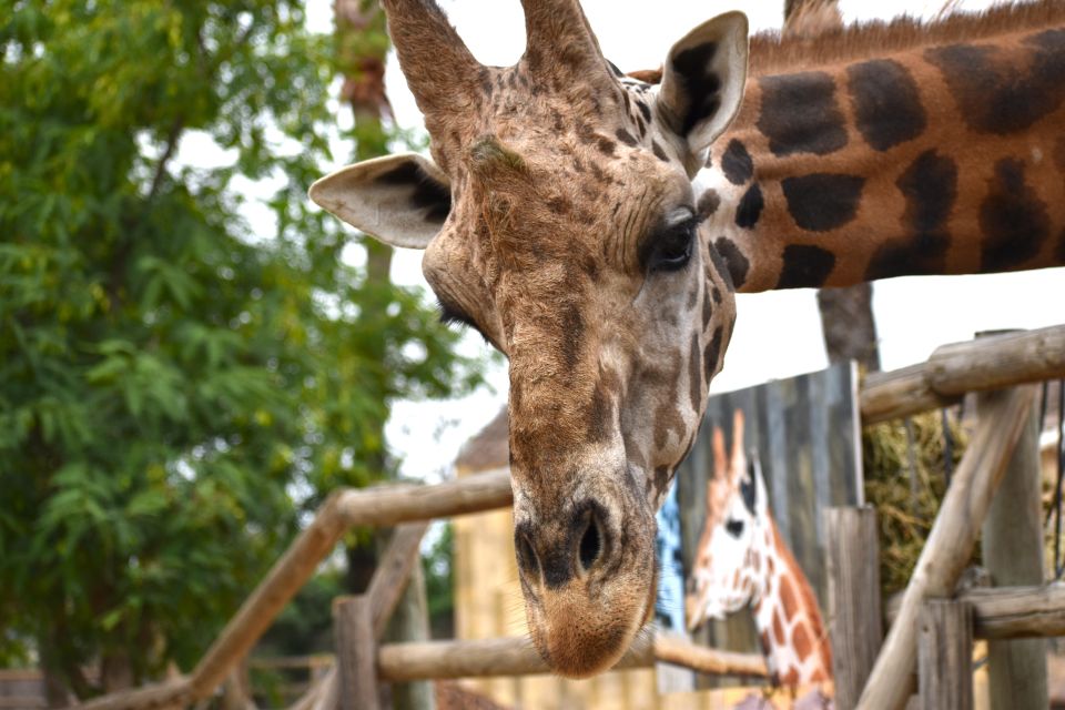 Murcia: Terra Natura Murcia Ticket Entry - Good To Know