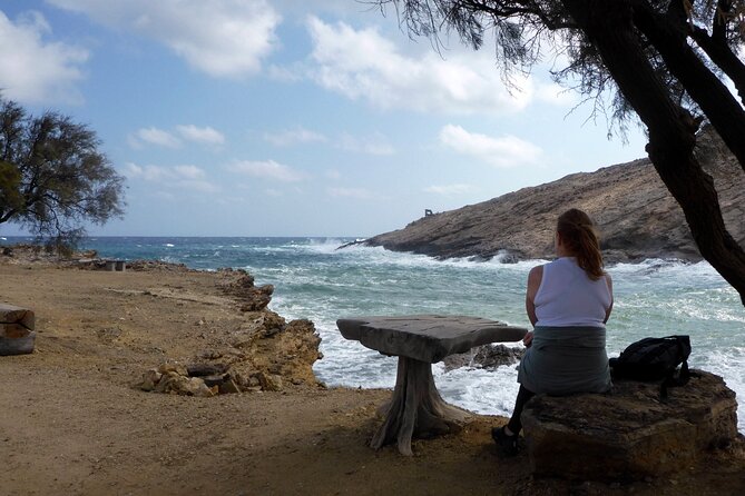 Mykonos Half-Day Hiking Adventure - Overview and Experience