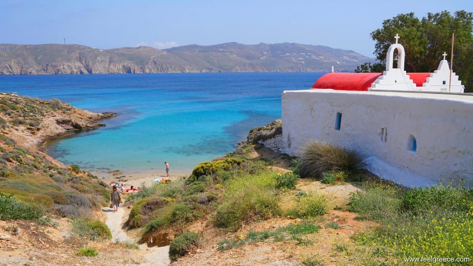 Mykonos: Half Day Tour in a Luxury Van - Good To Know