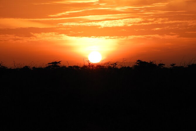 Nairobi National Park Drive (Small Group Tour) - Good To Know