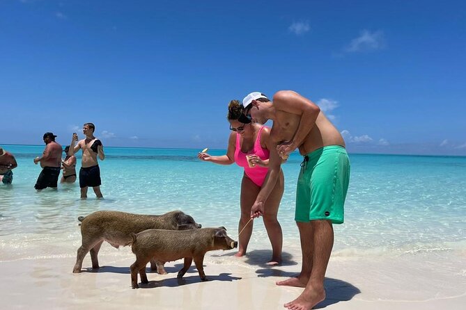 Nassau Harbor Boat Tour: Blue Lagoon, Pig Island, and More - Inclusions and Amenities