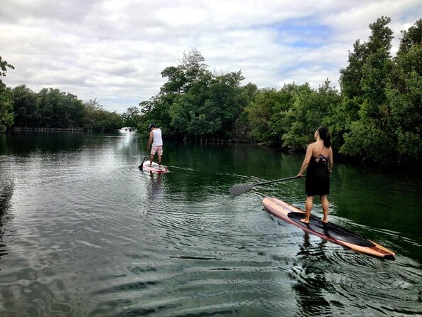 Nature Stand Up Paddle Boarding Experience in Miami - Good To Know