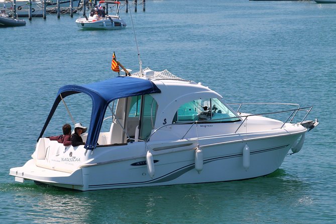 Nausicaa. Discover Collioure and the Côte Vermeille From the Sea. - Good To Know