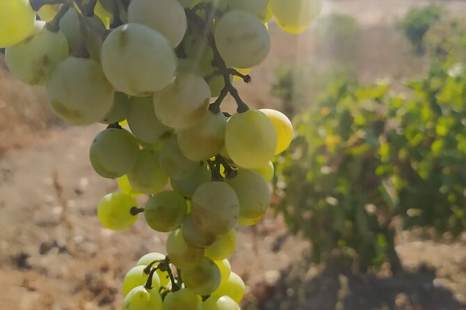 Naxos Farm Experience - Good To Know