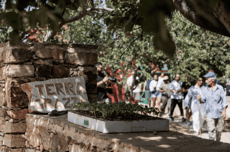 Naxos: Terra Grazia Winery Vineyard Tour and Wine Tasting - Experience Highlights