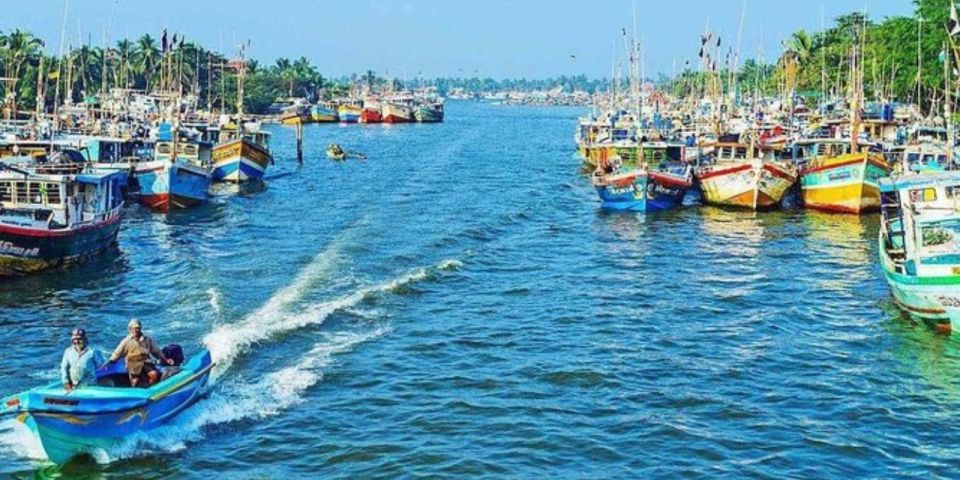 Negombo: Lagoon Fishing Tour From Colombo Harbour! - Good To Know