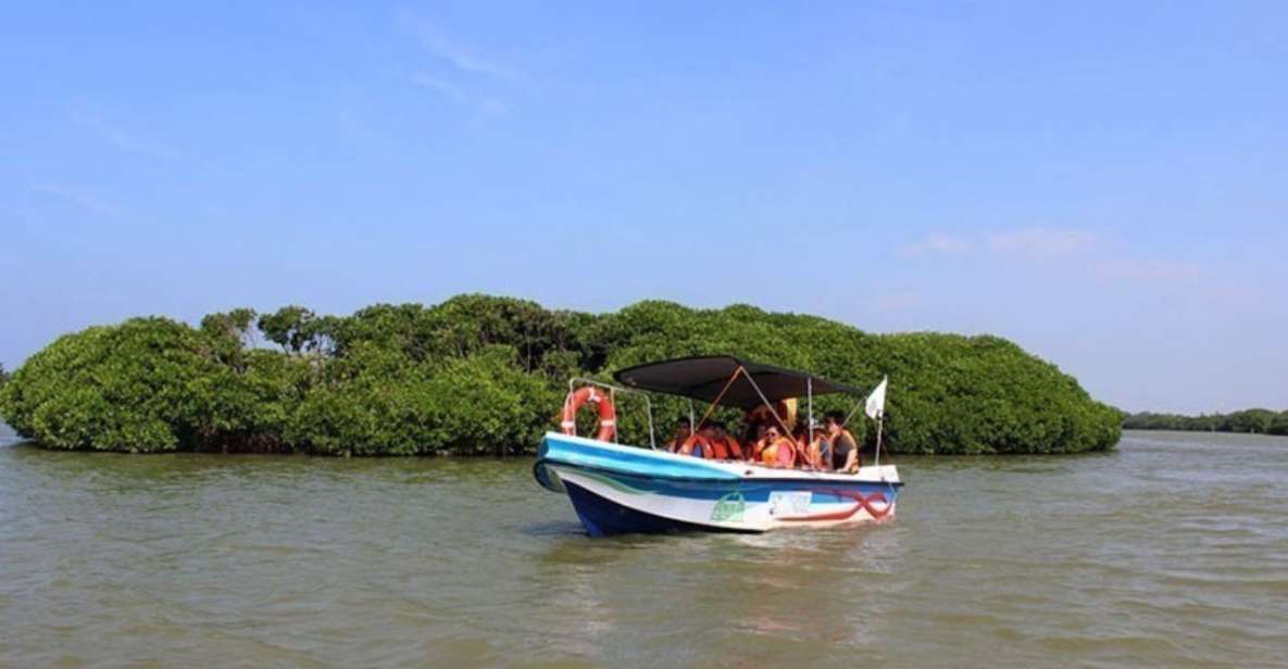 Negombo: Muthurajawela Wetland & Dutch Canal Boat Adventure - Good To Know