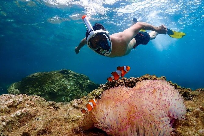 Nemo Island Experience With Drone Photos and Lunch - Good To Know