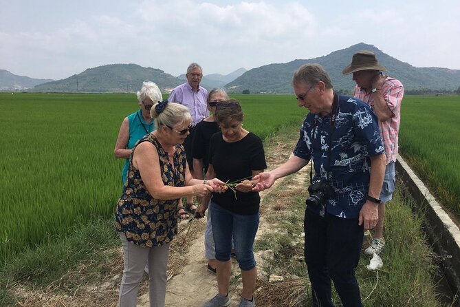 Nha Trang Private Authentic Cultural Countryside Tour by Car - Tour Highlights