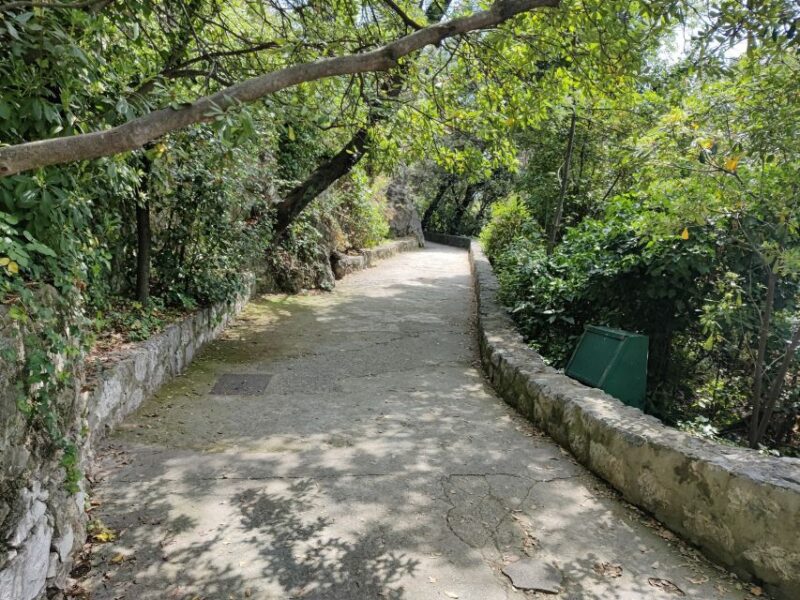 Nice: Sightseeing Walking Tour - Key Points