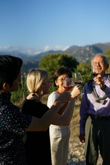 Nice: Vineyard Tour With Wine Tasting - Key Points