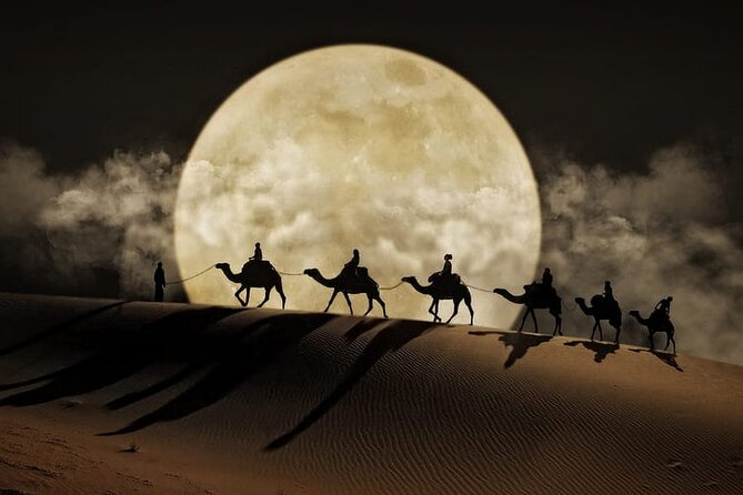 Night Desert Safari, Stargazing, Dune Driving & Inland Sea Visit - Good To Know