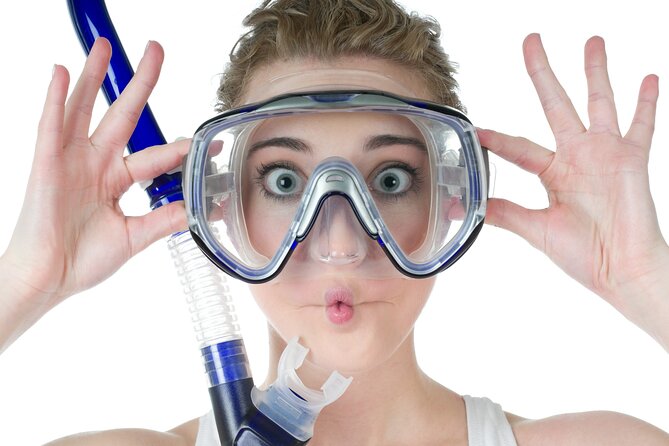 North Bay Snorkel - Good To Know