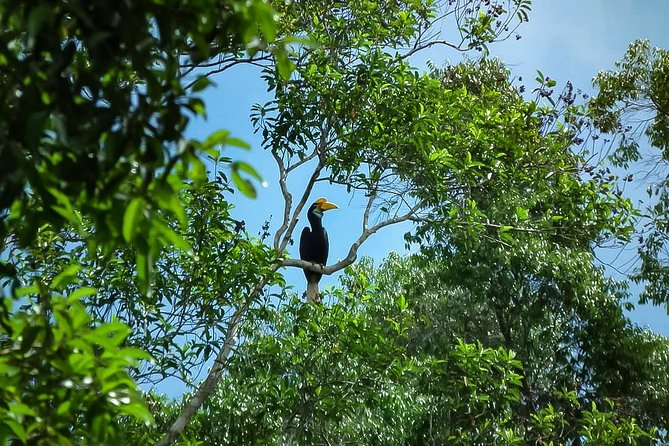 North Sumatra & Barumun Nagari Wildlife Sanctuary Program - Good To Know