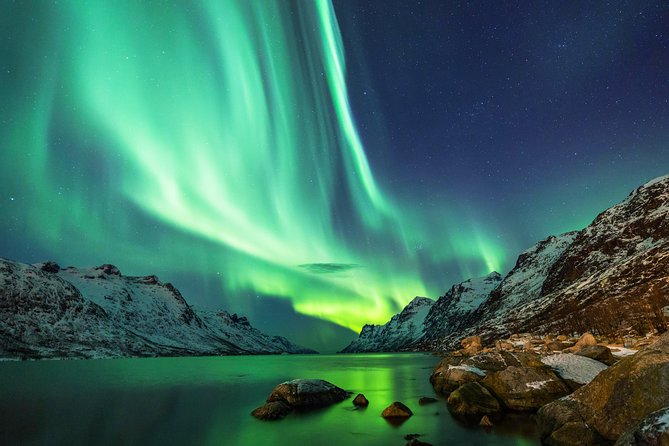 Northern Lights Tour From Reykjavik With Lifetime Guarantee - Tour Overview and Experience