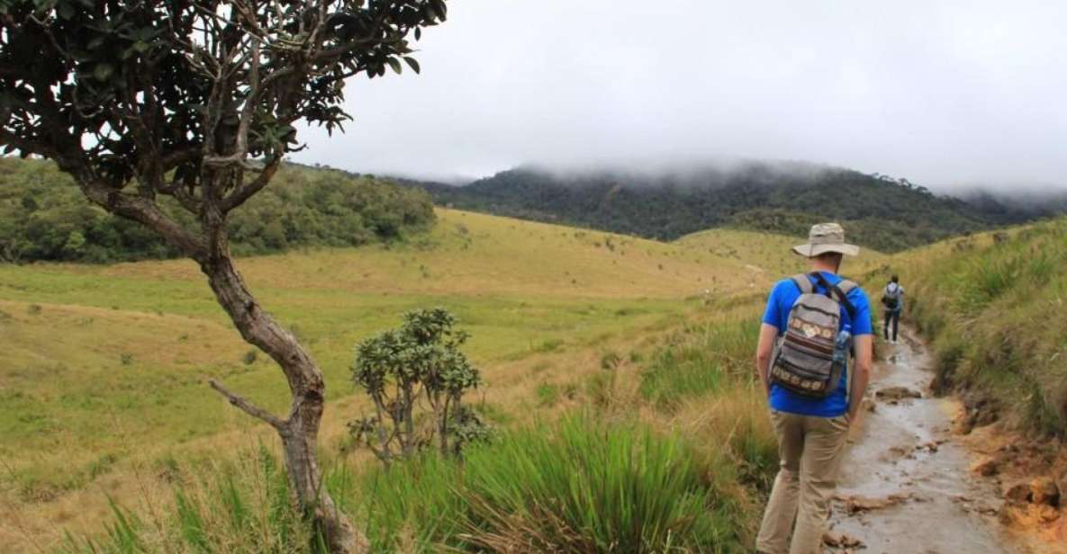 Nuawara Eliya: Horton Plains and Tea All-Inclusive Tour - Good To Know