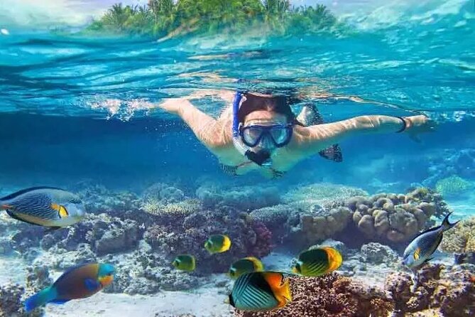 Nusa Penida West Trip With Snorkeling at 3 Spot With Free Meals - Good To Know