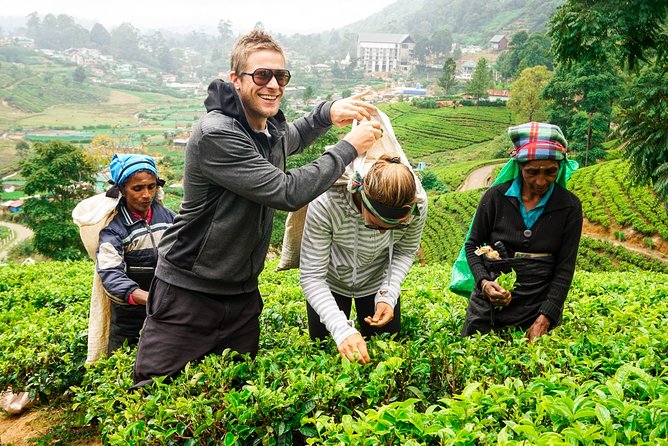 Nuwara Eliya Highlands From Kandy - Good To Know