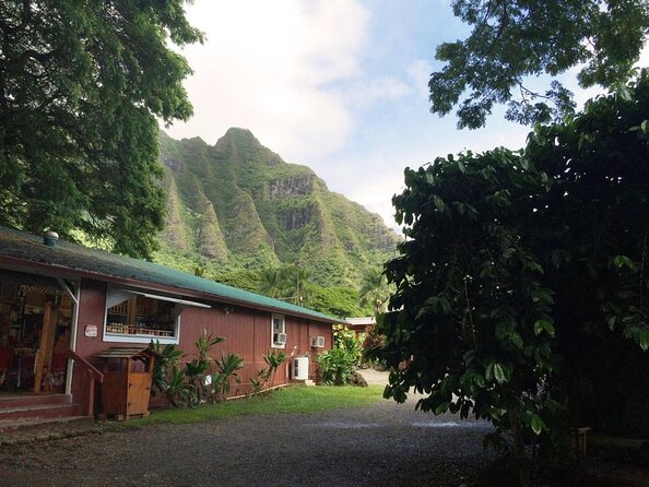 Oahu Island Sightseeing and Food Combo Tour - Good To Know