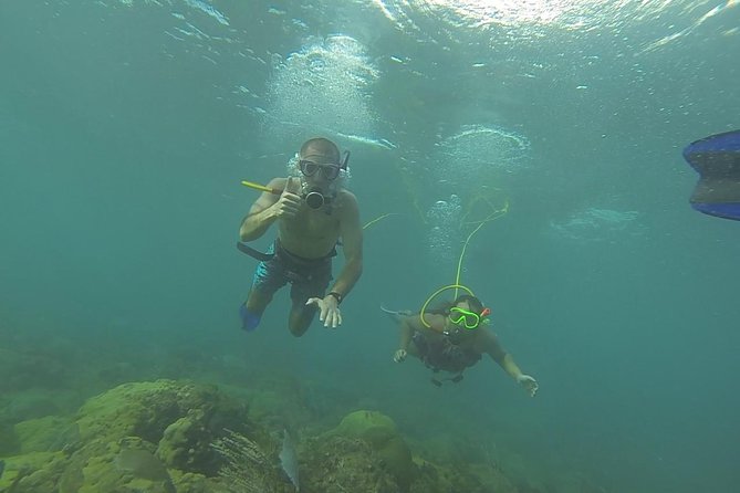 OCTOPUS DIVING (Hookah Diving) NO Experience Needed - Good To Know