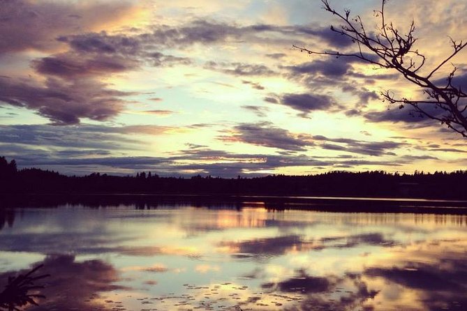 Off-Trail Nature Stockholm Hike