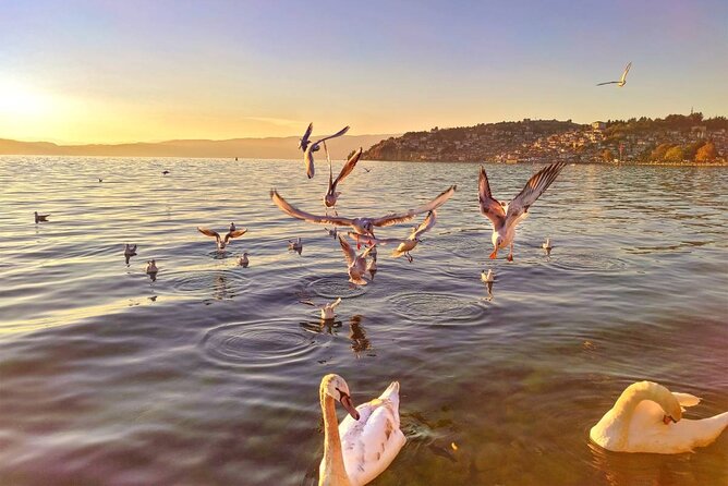 Ohrid City Walking Tour - Overview of Ohrid City
