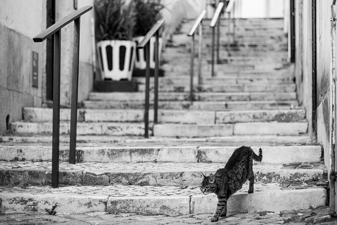 Old Town Lisbon Photography Tour - Pricing and Availability