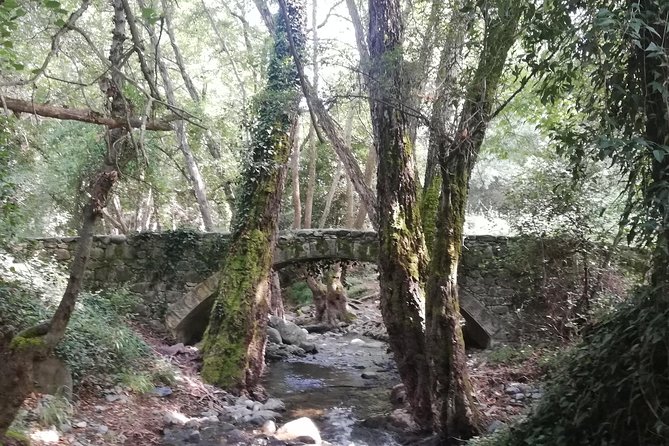 Omodos to Milomeris Waterfall E-Bike Tour Review - Key Points